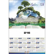 I - Série 216